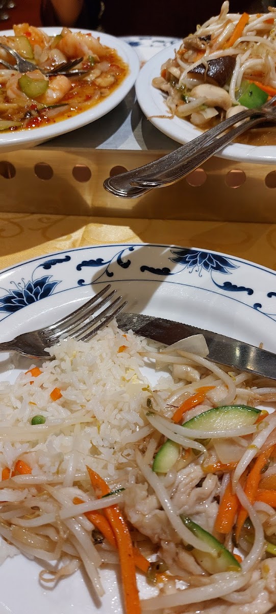 Chinees Specialiteiten Restaurant Panda-9